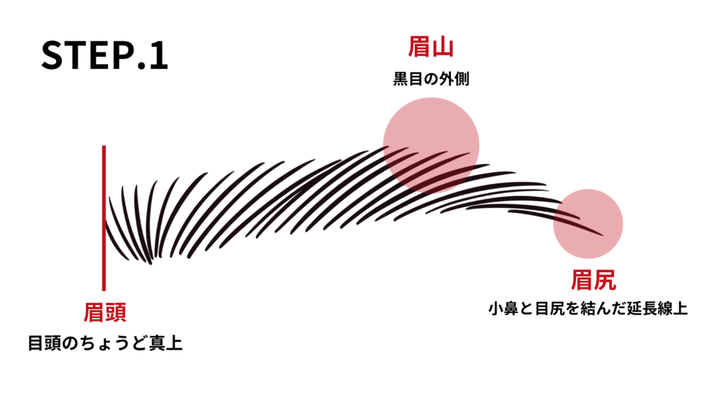 眉毛の形をチェックする説明